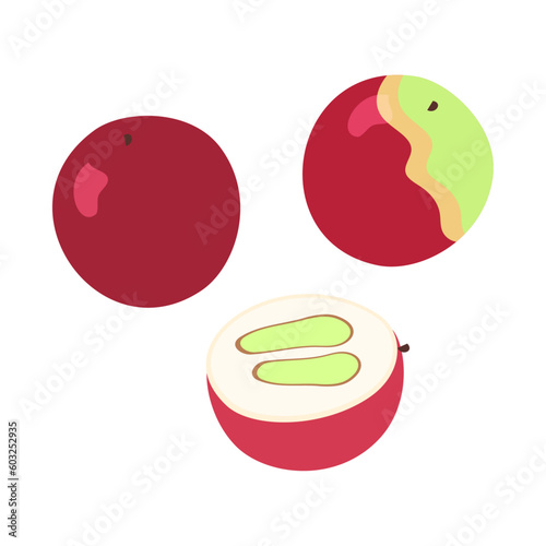 カムカム。フラットなベクターイラスト。
Camu camu. Flat designed vector illustration.