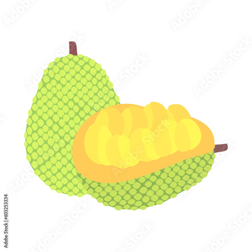 パラミツ（ジャックフルーツ）。フラットなベクターイラスト。
Jack fruit. Flat designed vector illustration.