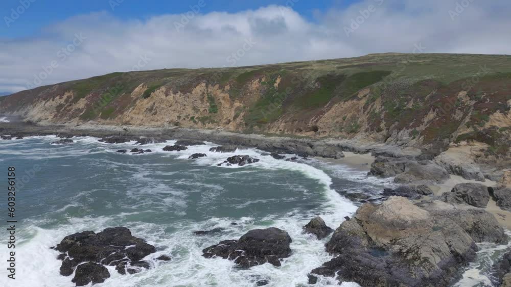 closer flying along Pacific Coast at Bodega Head California closer flying along Pacific Coast at Bodega Head California