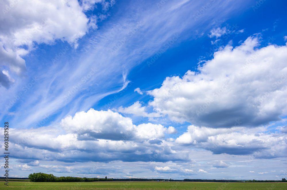 Bright Blue Skies over a Narrow Stretch of Land Bright Blue Skies over a Narrow Stretch of Land