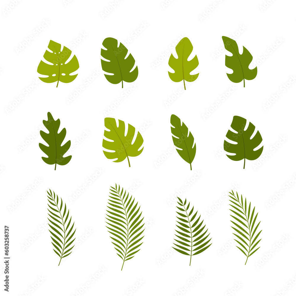 Set of tropical leaves. Green leaves isolated on white background. Vector illustration. 