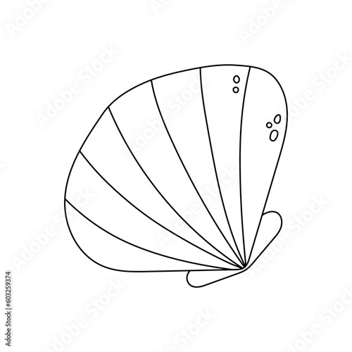 seashell flat vector cartoon illustration on white background