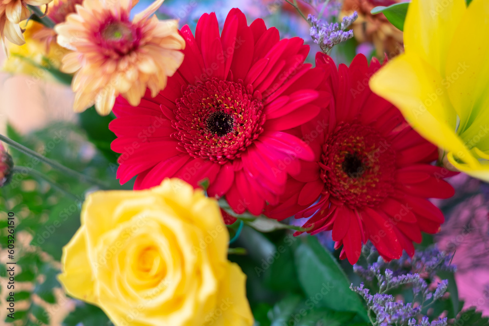 Celebration Valentine's Day Women's Day birthday holiday party. Close up cropped photo of bouquet of fresh flowers Celebration Valentine's Day Women's Day birthday holiday party. Close up cropped photo of bouquet of fresh flowers