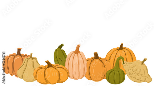 Pumpkins and squashes hand drawn vector illustration. 