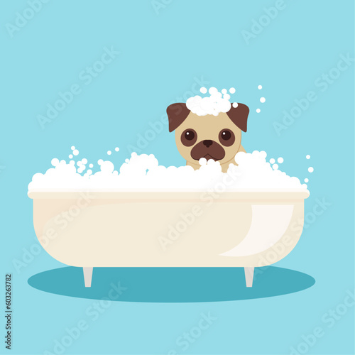 pug takes a bath with bubbles in a flat style. puppy bathes in a white bath.