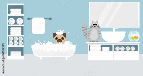 pug takes a bubble bath. the puppy is bathing in a white bathtub, the cat is sitting near the sink, the aquarium is in the bathroom.