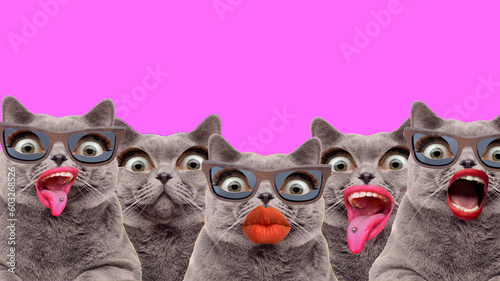 Contemporary art collage. Surreal magazine template banner collage of five freak cat and human stick tongue and eyes on pink background © filins