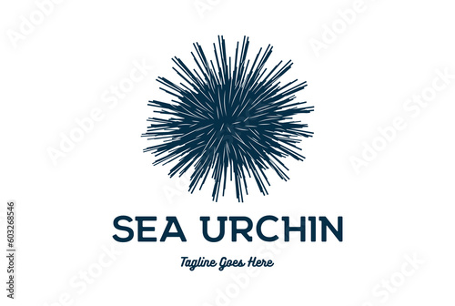 Simple Vintage Ocean Sea Urchin Logo Design Icon Illustration Image Vector