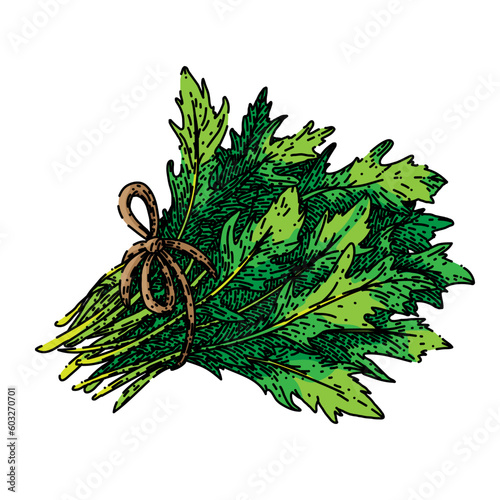 argula healthy salad hand drawn. fresh vegetable, vegetarian green, food plant, leaf organic, rucola rocket argula healthy salad vector sketch. isolated color illustration
