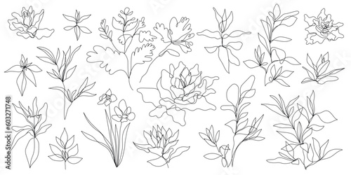 Vector set of hand drawn, single continuous line flowers, leaves. Art floral elements. Use for t-shirt prints, logos, cosmetics and beauty design elements. © marylia17