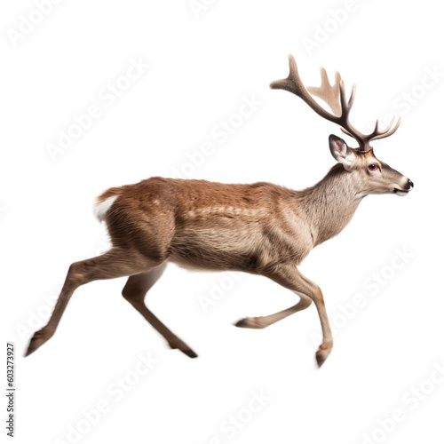 side view of animal deer running on transparent background, Generative Ai © SuperPixel Inc