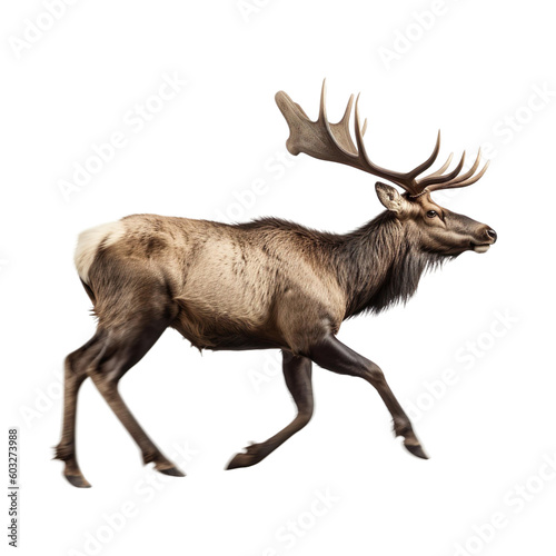 side view of animal elk running on transparent background, Generative Ai