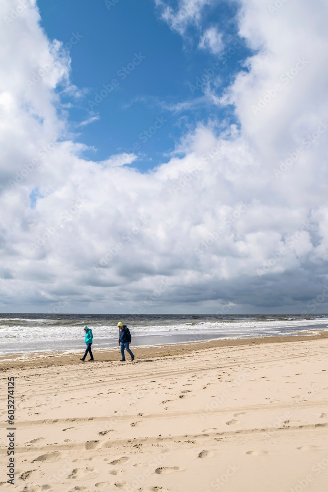 Seniors in sportswear for outdoor activities walk on the beach of the North Sea on a sunny day.  Beautiful seascape with walking people on the cold sandy beach in Egmond aan Zee, Netherlands.	