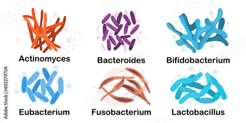 Bacteria in cartoon style. Microorganism. Vector illustration. Isolated. Lactobacillus, actinomyces, bacteroides, bifidobacterium, eubacterium, fusobacterium photo