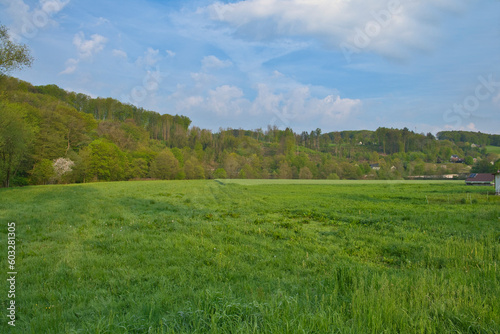 Green landscape in spring   blue sky. nature  landscape photo