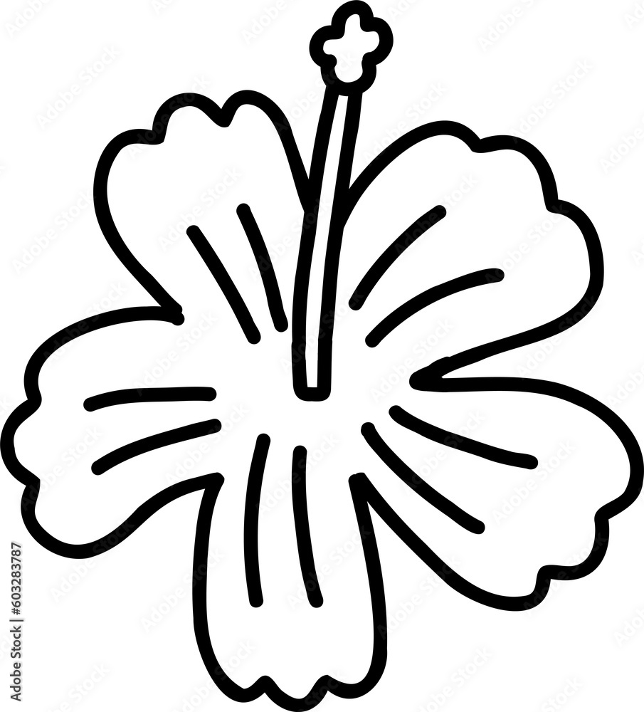 Fototapeta premium Hibiscus flower blossom hand draw