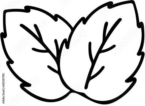 mint leaves,black line