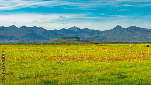 Icelandic landscape with a small volcanic crater called Eldborg a blue sky and summer day, Iceland photo