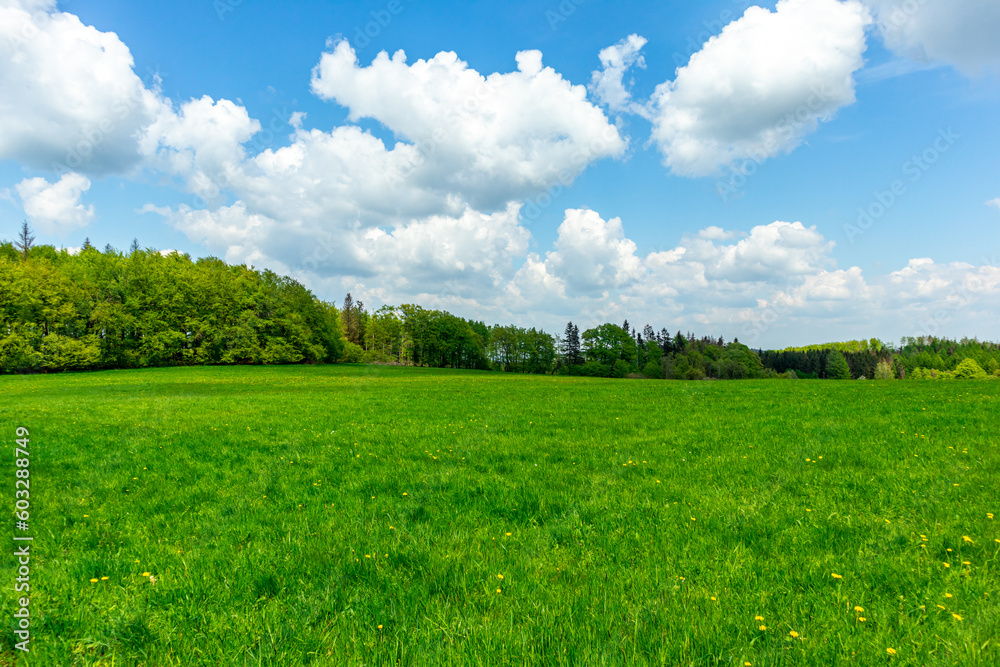 Erste Schritte auf dem Rennsteig zwischen Hörschel und Blankenstein im schönen Frühling - Thüringen - Deutschland Erste Schritte auf dem Rennsteig zwischen Hörschel und Blankenstein im schönen Frühling - Thüringen - Deutschland
