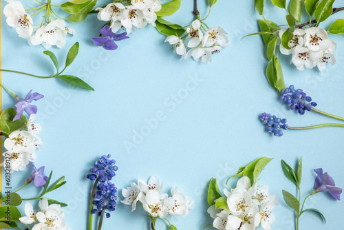 Flat lay frame from spring flowers on a light blue background. View from above, copy space. Beautiful floral frame. Springtime