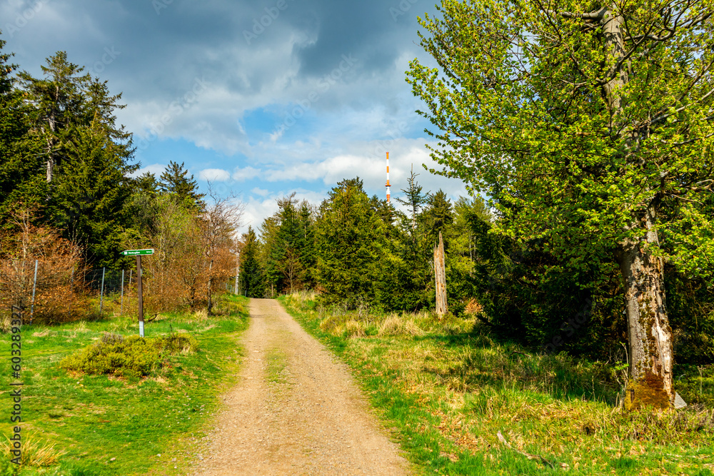 Erste Schritte auf dem Rennsteig zwischen Hörschel und Blankenstein im schönen Frühling - Thüringen - Deutschland
