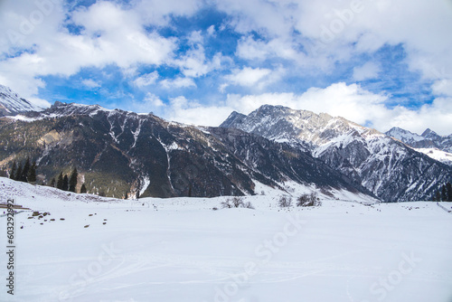 Forest and mountain in Winter Season. The snow-covered fields. Awesome Beautiful tourism winter vacation background