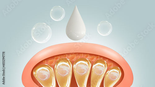 3 The skin protection and anti-wrinkle properties of serum or lotion are necessary for 3d skin care products.