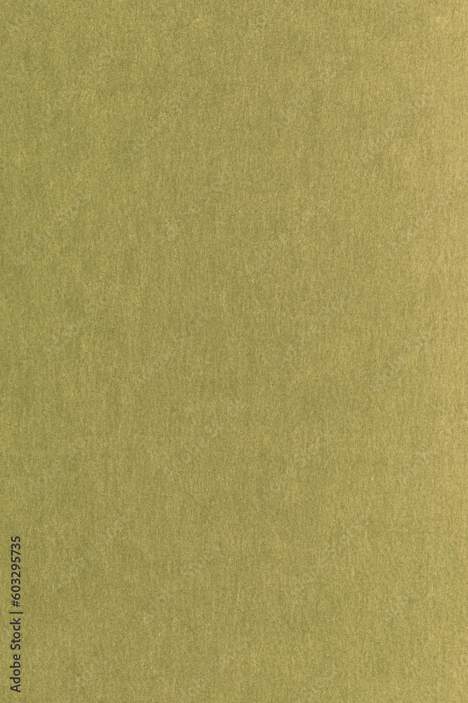 Fototapeta premium Abstract textured background with fine details
