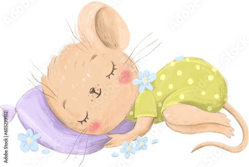 Sleeping animal. Sleepy animal. Charming mouse