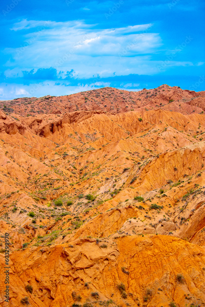 Fototapeta premium Natural unusual landscape red canyon of extraordinary beauty is similar to the Martian landscape. Multi-colored canyon fairy tale in Kyrgyzstan. Charyn Canyon. Amazing beautiful landscape.