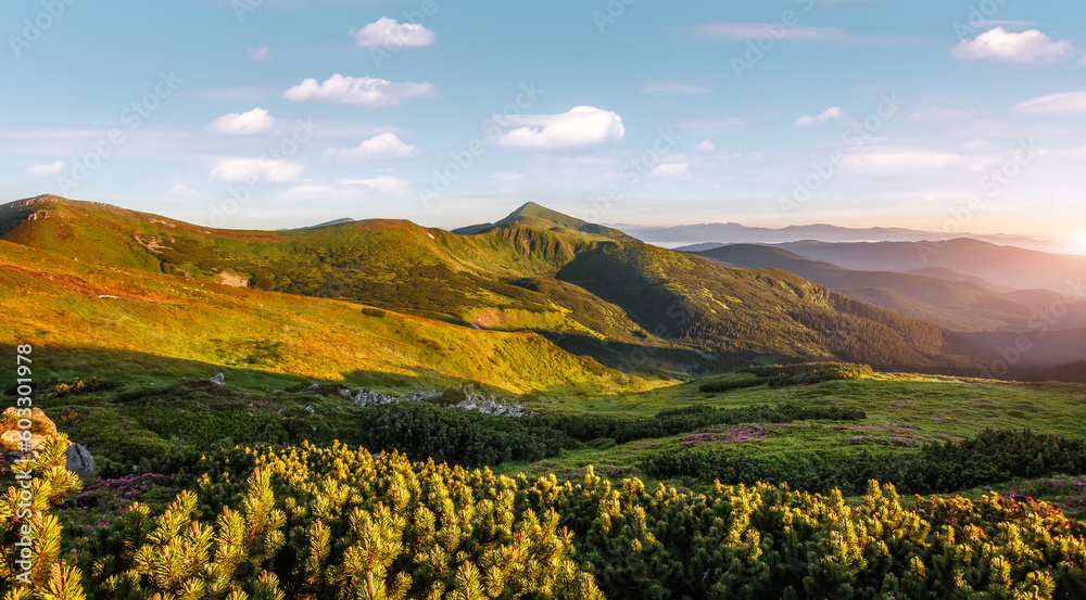 Mountains during sunset. Scenic image of fairy-tale Landscape with Pink rhododendron flowers and perfect sky under sunlit, over the Majestic rock range. Picture of wild area. panorama image of nature