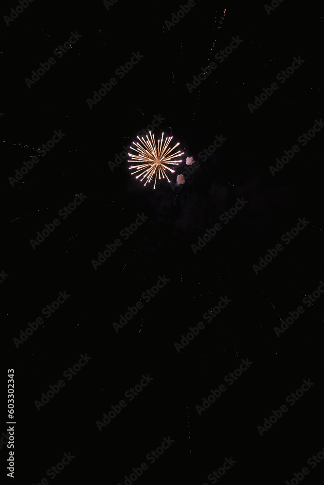 Huge fireworks explosion In front of the black night sky Huge fireworks explosion In front of the black night sky
