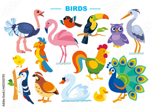 Canvastavla Set of cute birds vector illustration