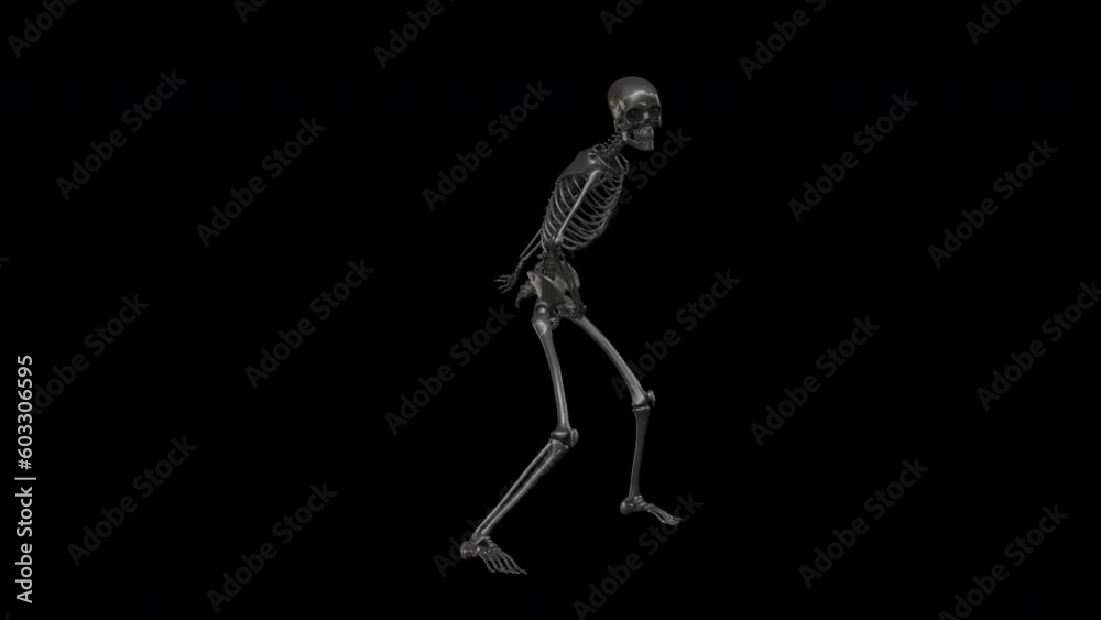 Skeleton dancing. Seamless loop animation on black background