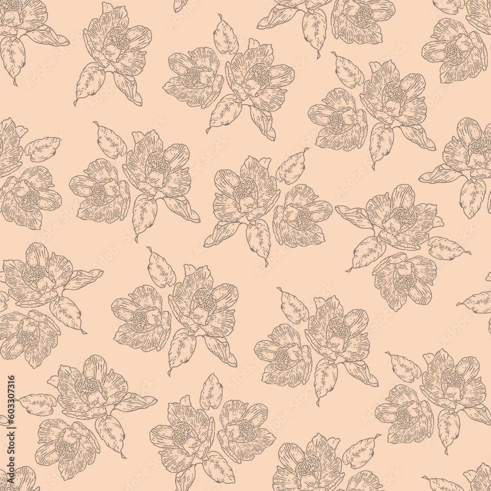 Fototapeta premium Blossom peony flower pink seamless pattern sketch drawing.
