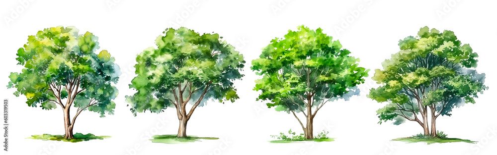 Collection of watercolor green tree isolated on white background. PNGs transparent background. AI Generative. Collection of watercolor green tree isolated on white background. PNGs transparent background. AI Generative.