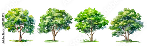 Collection of watercolor green tree isolated on white background. PNGs transparent background. AI Generative.