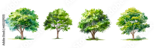 Collection of watercolor green tree isolated on white background. PNGs transparent background. AI Generative.