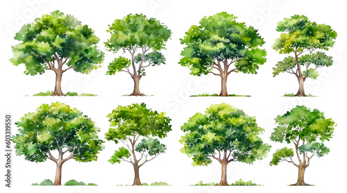 Collection of watercolor green tree isolated on white background. PNGs transparent background. AI Generative.