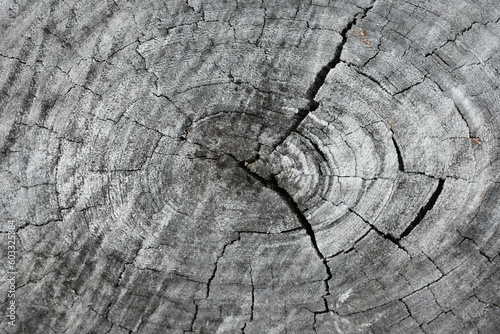 old wood texture