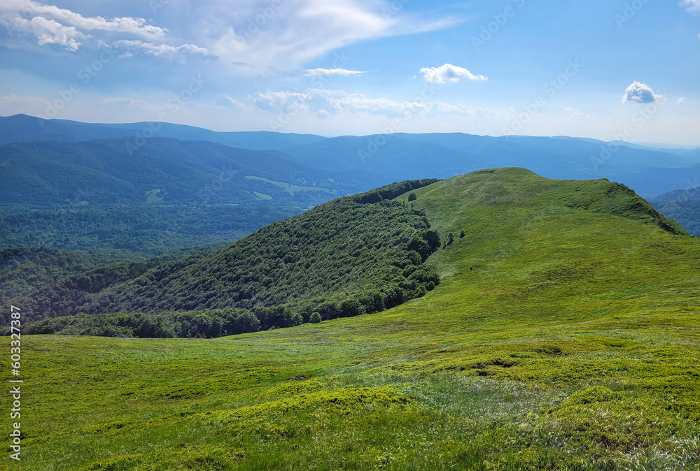 Krajobraz wiosenny w zielonych górach Bieszczady,
Tło naturalne.