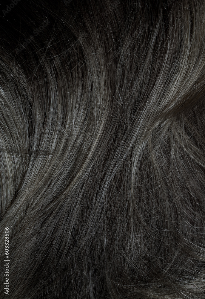 Naklejka premium Brunette or black hair. Female long dark hair in black. Beautifully laid curls. Closeup texture in a dark key. Hairdressing, hair care and coloring. Shading gray hair. Background with copy space.