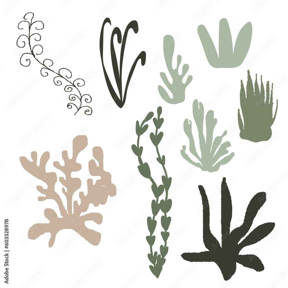 Sea plants. Vector illustrations. Sea plants. Vector illustrations.