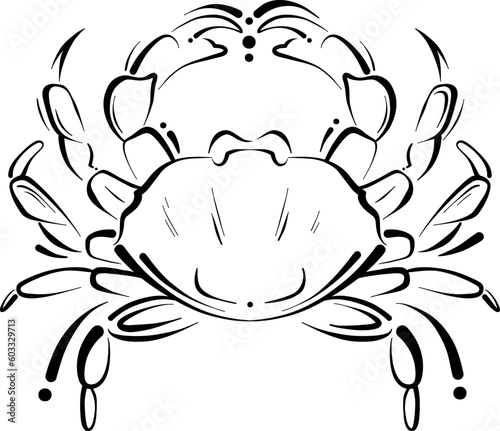 zodiac sign cancer vector illustration drawing isolated on white