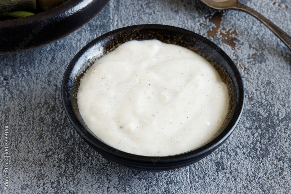 Bechamel sauce in a bowl. Homemade white sauce dip. Bechamel sauce in a bowl. Homemade white sauce dip.