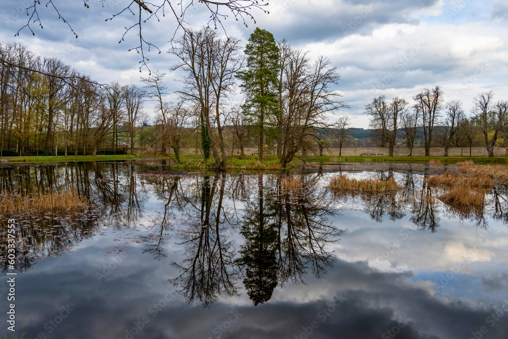 Pond with reeves and small island with silhouettes of tree, Cesky Krumlov. Pond with reeves and small island with silhouettes of tree, Cesky Krumlov.