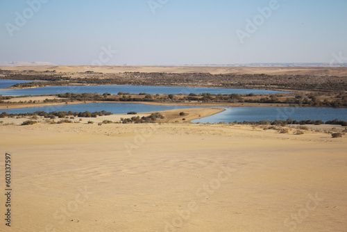 Beautiful Panorama Of Wadi El Rayan Lower lake - Magic Lake Desert, National Park, Fayoum Oasis, Egypt   © mohamed