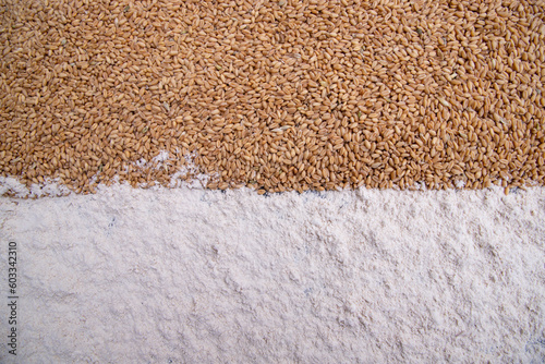 wheat grains and wheat flower   brown atta pattern Texture can be used as a Background wallpaper