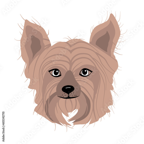 Vector art of adorable york puppies yorkshire terrier dog animal