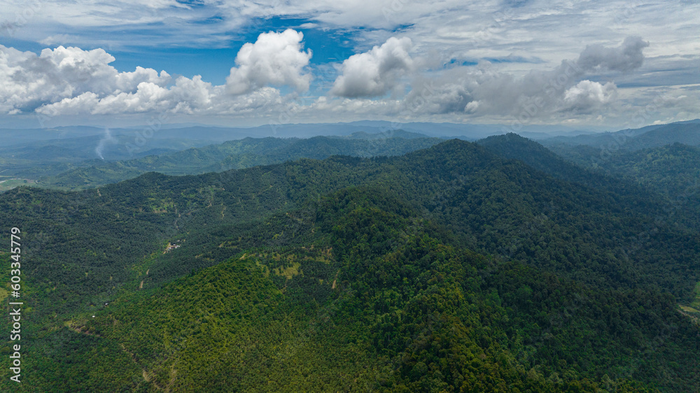 Mountains and hills with green vegetation and trees in the tropics. Borneo, Malaysia.